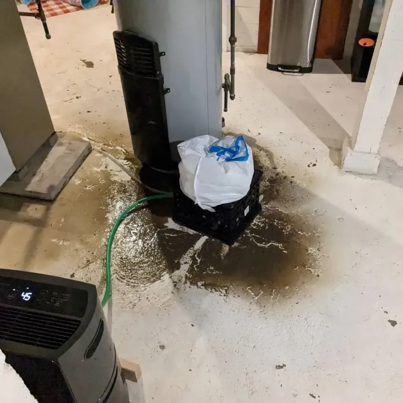 Sewage Backup Cleanup Service in Bridgeton, NJ